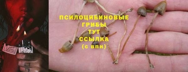 хмурый Бугульма