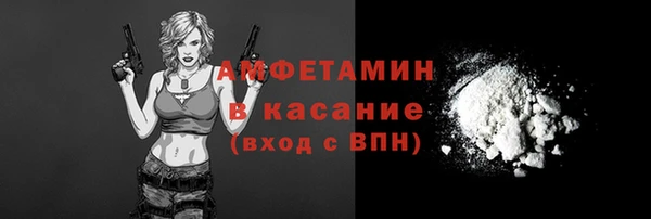 сатива Бронницы