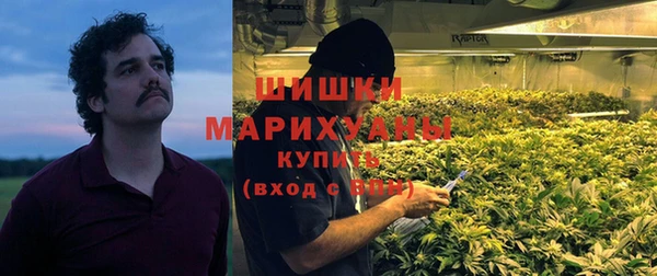 сатива Бронницы